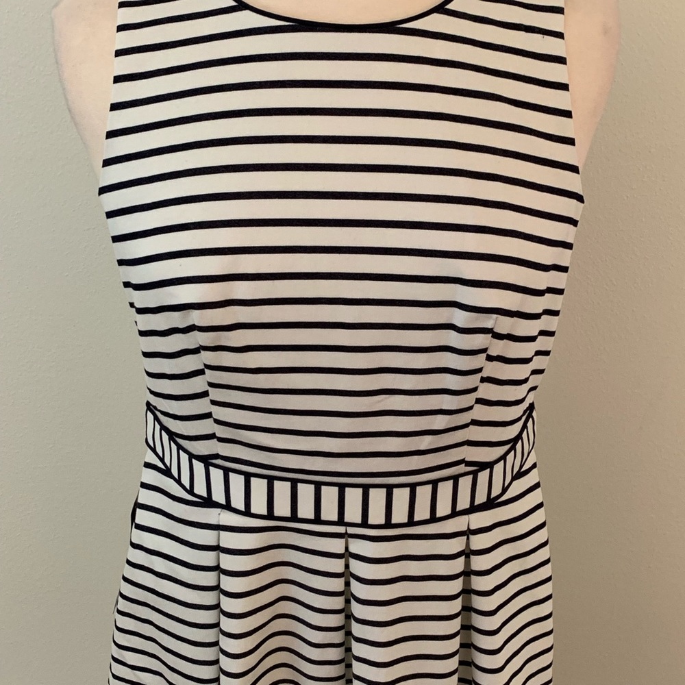 NWT The Limited striped dress with pockets